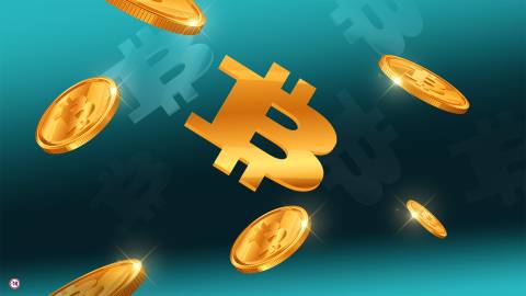 PAIEMENT EN CRYPTO-MONNAIE DISPONIBLE !